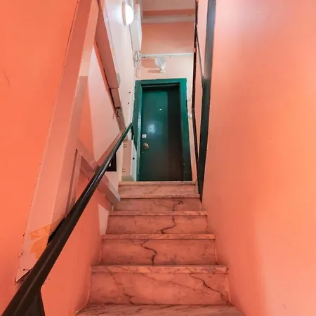 The Nest Of Carriao Street *